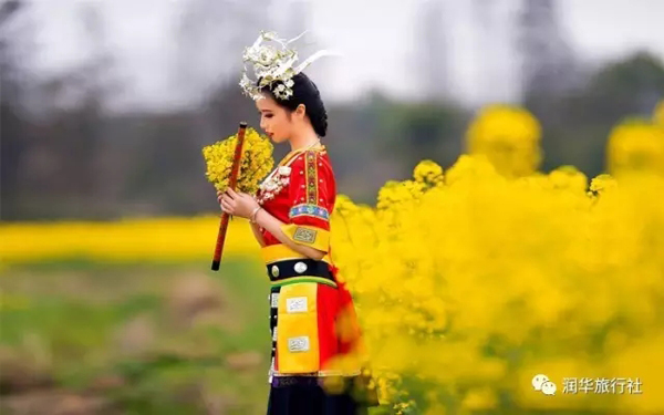 漢中:油菜花開了